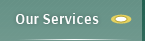 Our Services